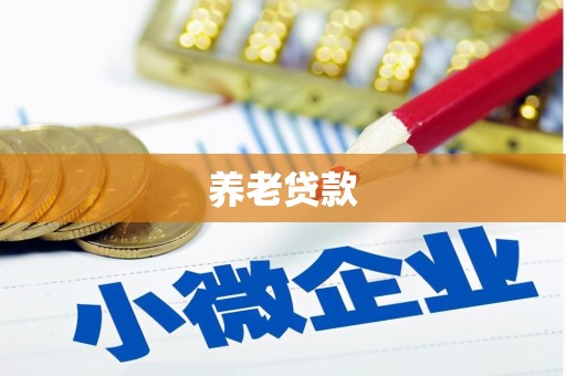 珲春养老贷款