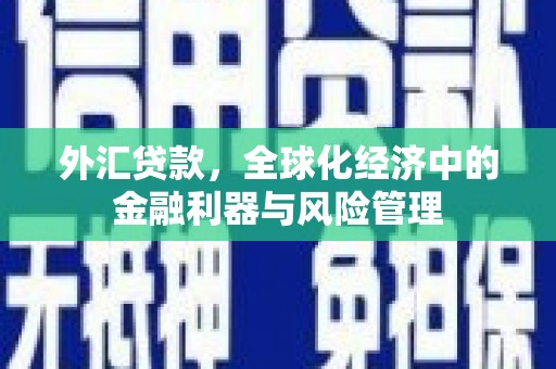 珲春外汇贷款，全球化经济中的金融利器与风险管理