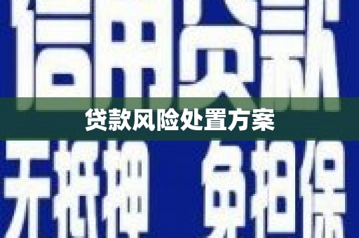 珲春贷款风险处置方案