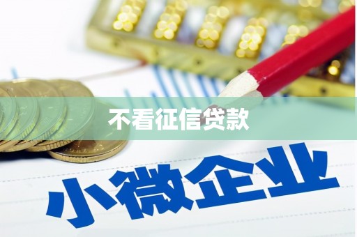 珲春不看征信贷款