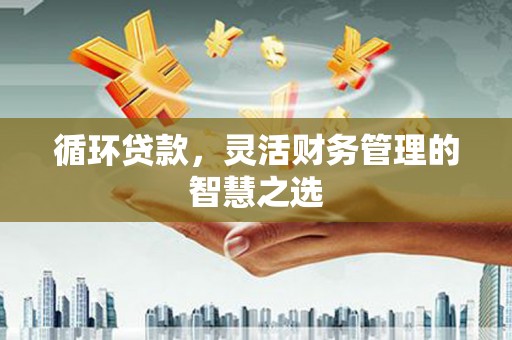 珲春循环贷款，灵活财务管理的智慧之选