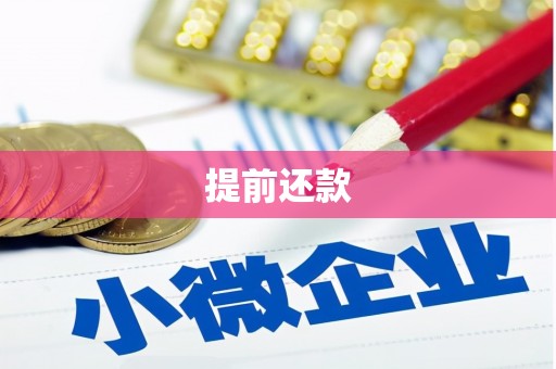 珲春提前还款
