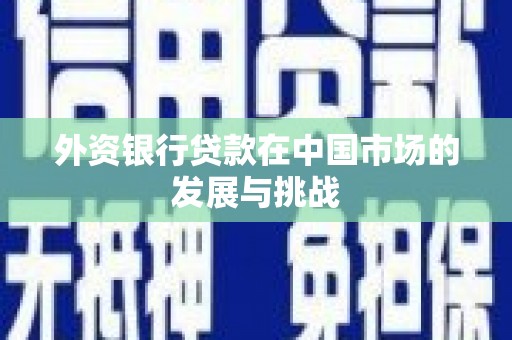 珲春外资银行贷款在中国市场的发展与挑战