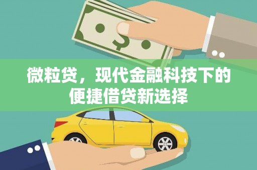 珲春微粒贷，现代金融科技下的便捷借贷新选择