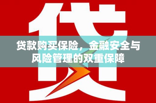 珲春贷款购买保险，金融安全与风险管理的双重保障
