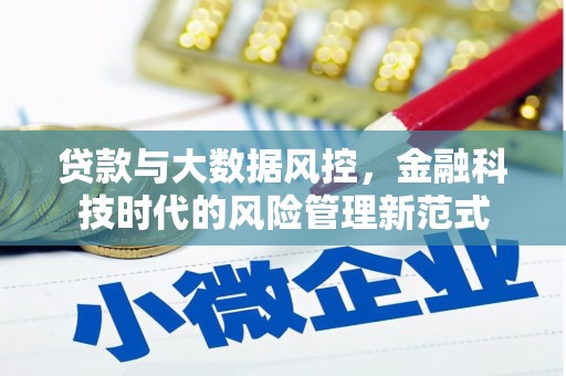 珲春贷款与大数据风控，金融科技时代的风险管理新范式