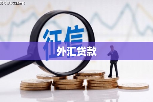 珲春外汇贷款