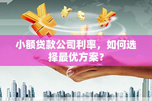 珲春小额贷款公司利率，如何选择最优方案？