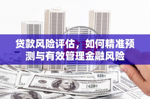 珲春贷款风险评估，如何精准预测与有效管理金融风险