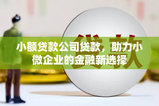 珲春小额贷款公司贷款，助力小微企业的金融新选择