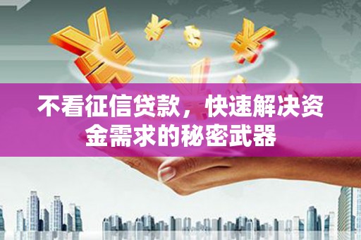 珲春不看征信贷款，快速解决资金需求的秘密武器