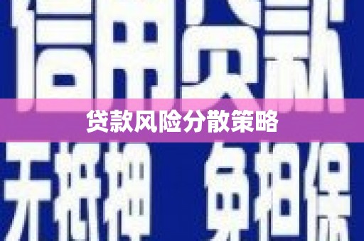 珲春贷款风险分散策略