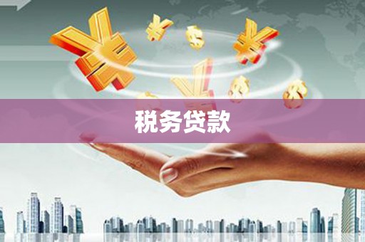 珲春税务贷款