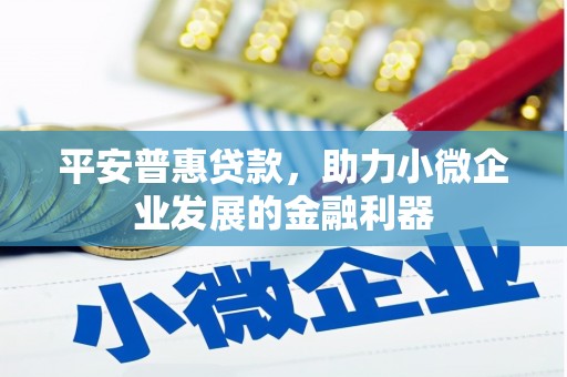 珲春平安普惠贷款，助力小微企业发展的金融利器