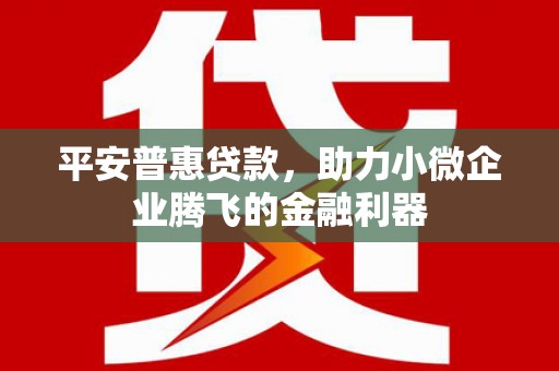 珲春平安普惠贷款，助力小微企业腾飞的金融利器
