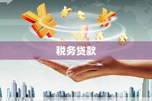 珲春税务贷款