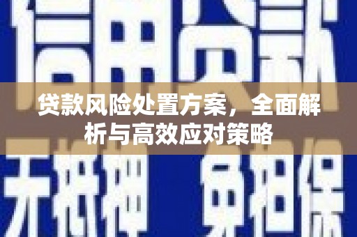 珲春贷款风险处置方案，全面解析与高效应对策略