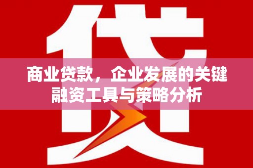 珲春商业贷款，企业发展的关键融资工具与策略分析