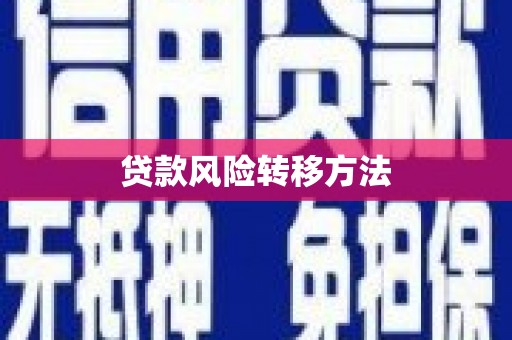 珲春贷款风险转移方法