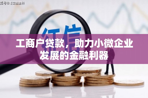 珲春工商户贷款，助力小微企业发展的金融利器