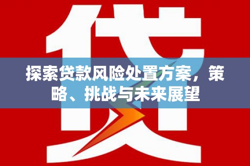 珲春探索贷款风险处置方案，策略、挑战与未来展望