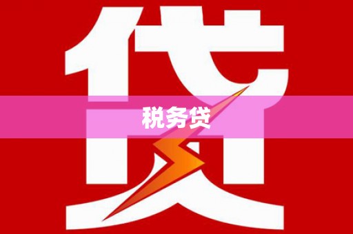 珲春税务贷