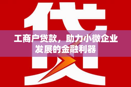 珲春工商户贷款，助力小微企业发展的金融利器