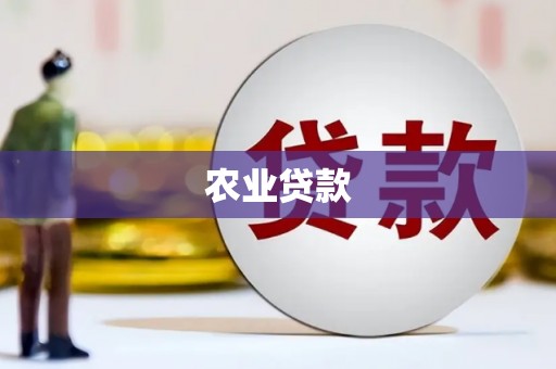 珲春农业贷款