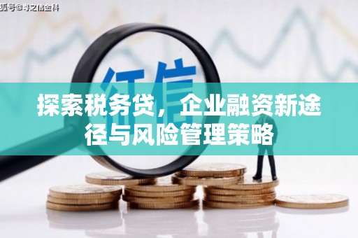 珲春探索税务贷，企业融资新途径与风险管理策略