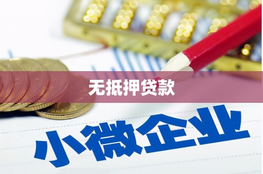 珲春无抵押贷款