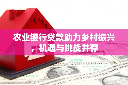 珲春农业银行贷款助力乡村振兴，机遇与挑战并存