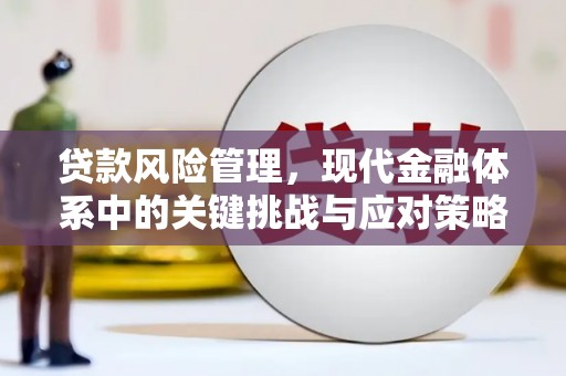 珲春贷款风险管理，现代金融体系中的关键挑战与应对策略
