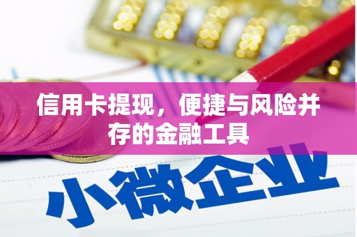 珲春信用卡提现，便捷与风险并存的金融工具