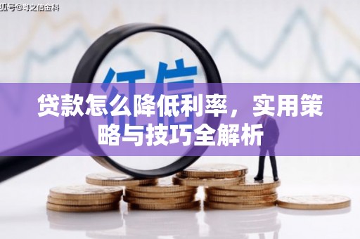 珲春贷款怎么降低利率，实用策略与技巧全解析