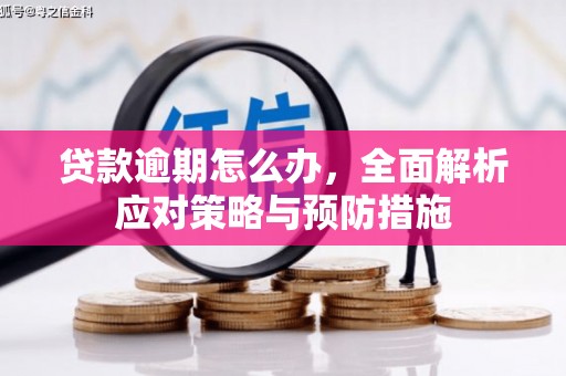 珲春贷款逾期怎么办，全面解析应对策略与预防措施