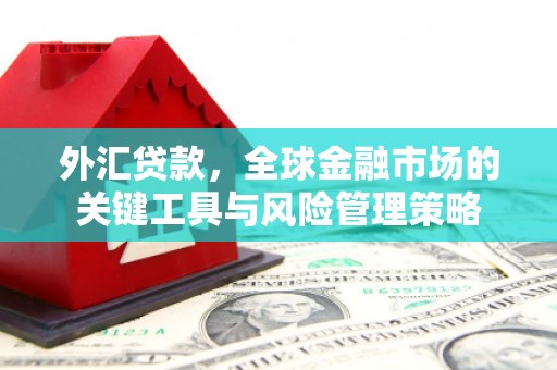 珲春外汇贷款，全球金融市场的关键工具与风险管理策略