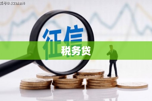 珲春税务贷