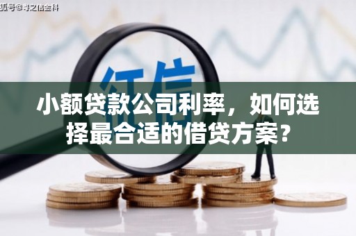 珲春小额贷款公司利率，如何选择最合适的借贷方案？