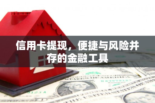 珲春信用卡提现，便捷与风险并存的金融工具