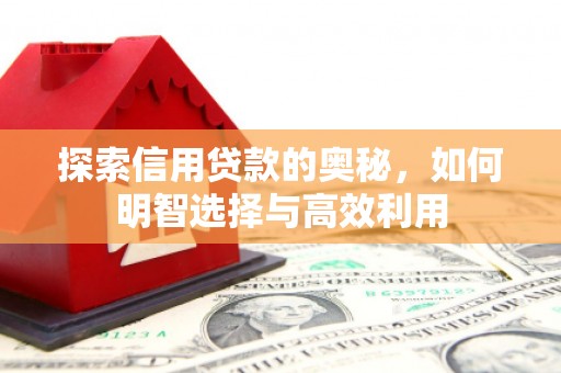 珲春探索信用贷款的奥秘，如何明智选择与高效利用