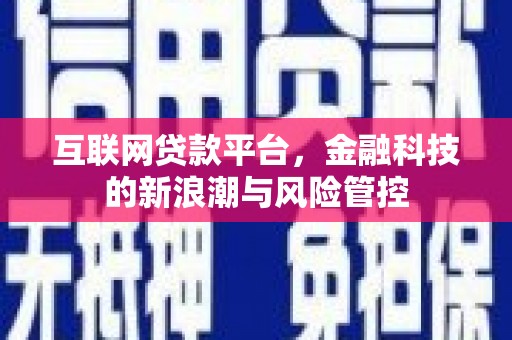 珲春互联网贷款平台，金融科技的新浪潮与风险管控