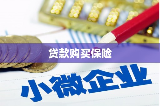 珲春贷款购买保险