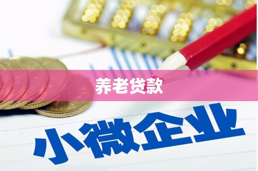 珲春养老贷款