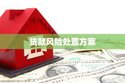 珲春贷款风险处置方案